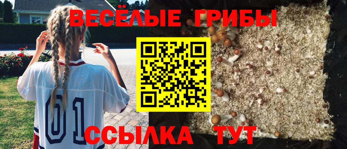 Галлюциногенные грибы ЛСД  Вход с VPN  Галлюциногенные грибы ЛСД  Балашов 