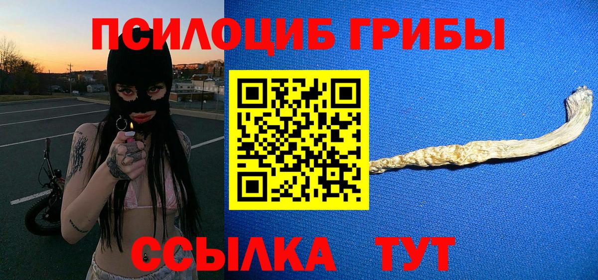 Галлюциногенные грибы прущие грибы Балашов